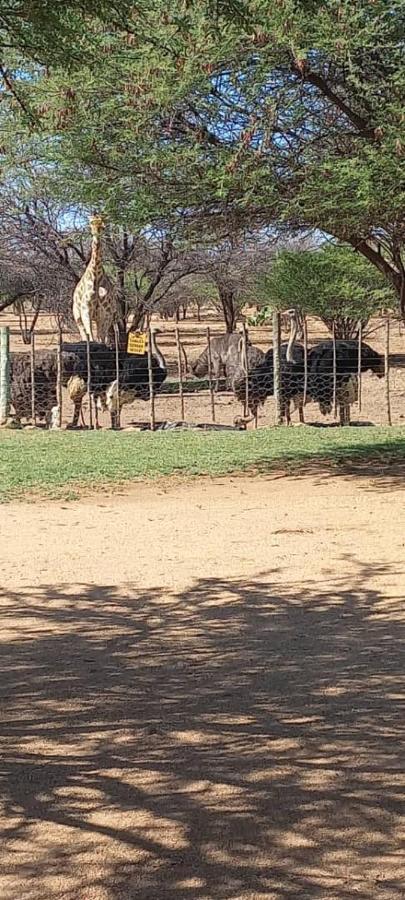 Hotel Ombo Rest Camp Okahandja Exterior foto